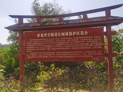 -三亚湾红树林度假世界(木棉酒店)