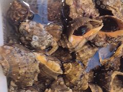 -赶海部落海鲜城(海阳路店)