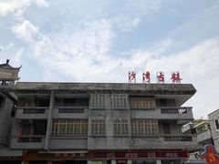 -针姨