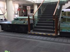 -旺顺阁鱼头泡饼(小红门店)
