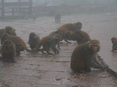 -重庆雨台山风景区