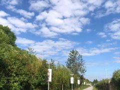 -菊园百果园