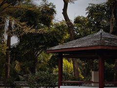 -深圳国际园林花卉博览园