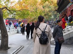 -香山公园-东宫门售票处