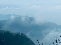 -王顺山国家森林公园