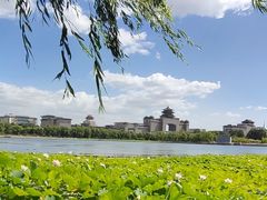 -莲花池公园