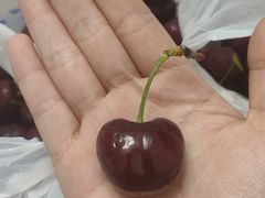 -红星农博物流中心