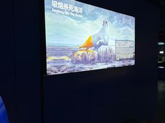 -重庆欢乐海底世界