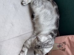 -美联众合24小时·皮肤科·外科·全科诊疗中心(华苑分院)