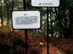 android_upload_pic-望天湖