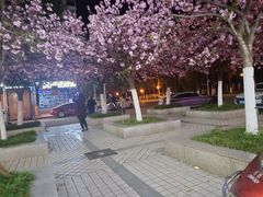 -番茄犟汤锅(东坝店)