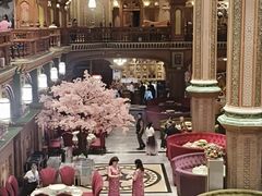 -喀什骑仕大观园