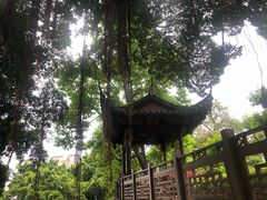 -乌山风景区