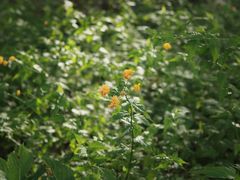 -宁波儿童公园(鄞州区)