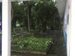 -南宁良凤江国家森林公园