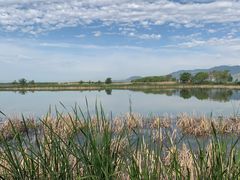 -野鸭湖国家湿地公园