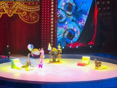 -珠海横琴长隆《卡卡虎奇遇记》