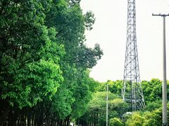 -嘉北郊野公园