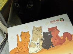 -纳吉亚猫专科动物诊疗中心(蒋宅口分院)
