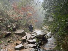 -莫干山风景区