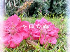 -广东花都湖国家湿地公园