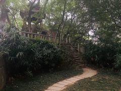 -乌山风景区