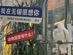 -无锡动物园·太湖欢乐园