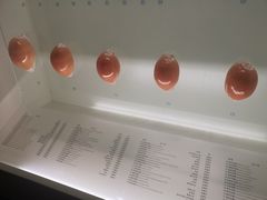 -青岛贝壳博物馆