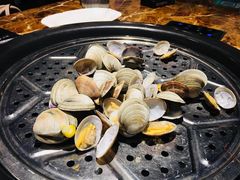 花蛤-船奇蒸汽海鲜·闽菜(八市海鲜总店)