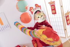 -DORA kids 朵拉儿童摄影花园店