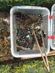 -钓虾工场·钓虾·赶海(回龙观店)