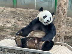 -栾川竹海野生动物园