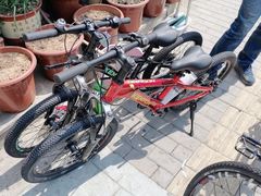 -道路口单车爱瓦士dahon大行