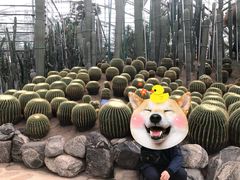 -南山植物园