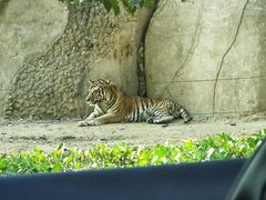 -秦皇岛野生动物园