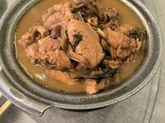 -京北渔家傲