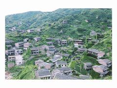 -枸杞岛