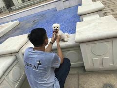 -超宠爱宠物摄影-Super pet