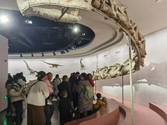 -自贡恐龙博物馆