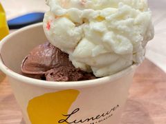 -LUNEURS月乐诗·法式冰淇淋(环贸店)