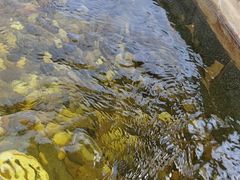 -国御温泉度假小镇