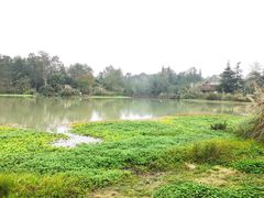 -桤木河湿地公园