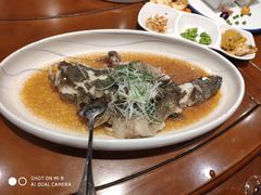 -厦门渔港(成山路店)
