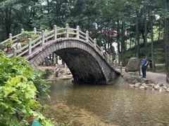 -洛阳白云山景区
