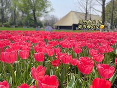-国际青年会议酒店