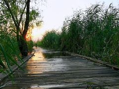 -绿堤公园