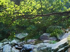 -庐山碧龙潭风景区