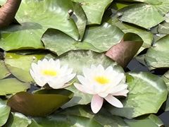 -大连植物园