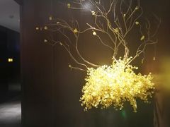 -新偶像健康汇•水疗SPA•豪华自助餐(世界城店)