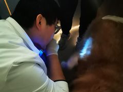 -瑞鹏宠物医院·内科·中兽医·骨科(苗圃店)